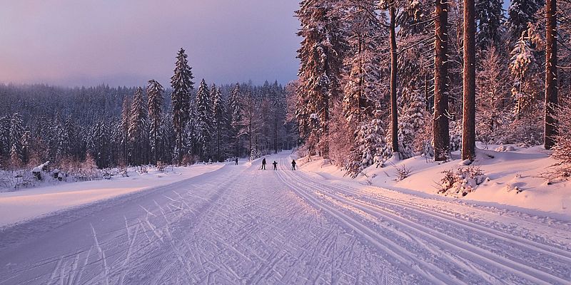 Familie beim Langlaufen auf einer Loipe im Bayerischen Wald in der Abendsonne