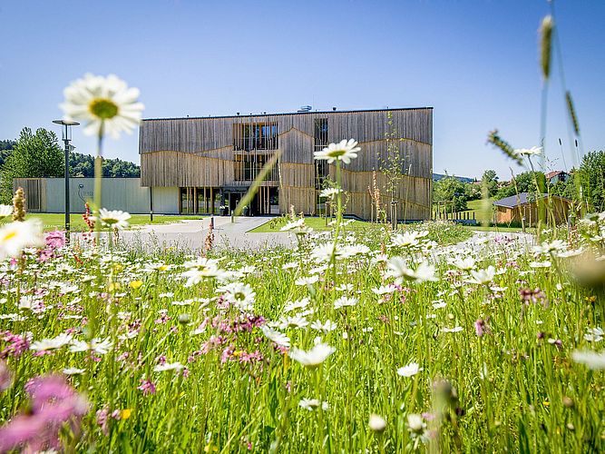 Blick von der Blumenwiese auf das Naturhotel Euler Neuschönau im Sommer