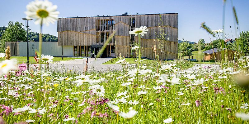 Blick von der Blumenwiese auf das Naturhotel Euler Neuschönau im Sommer