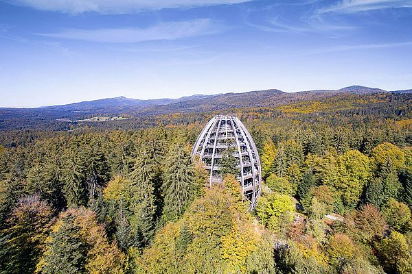 Baumwipfelpfad inmitten herbstlich gefärbter Wälder mit Blick auf die Berge im Bayerischen Wald.
