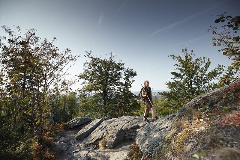Wanderin genießt den Ausblick von einem felsigen Aussichtspunkt im Wald bei klarem Himmel.