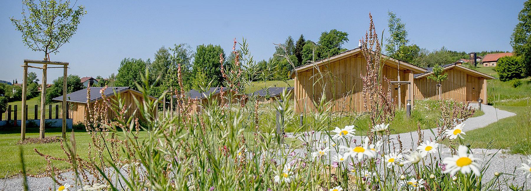 Chalets Woidhaisl auf der Wiese im Sommer bei Sonnenschein