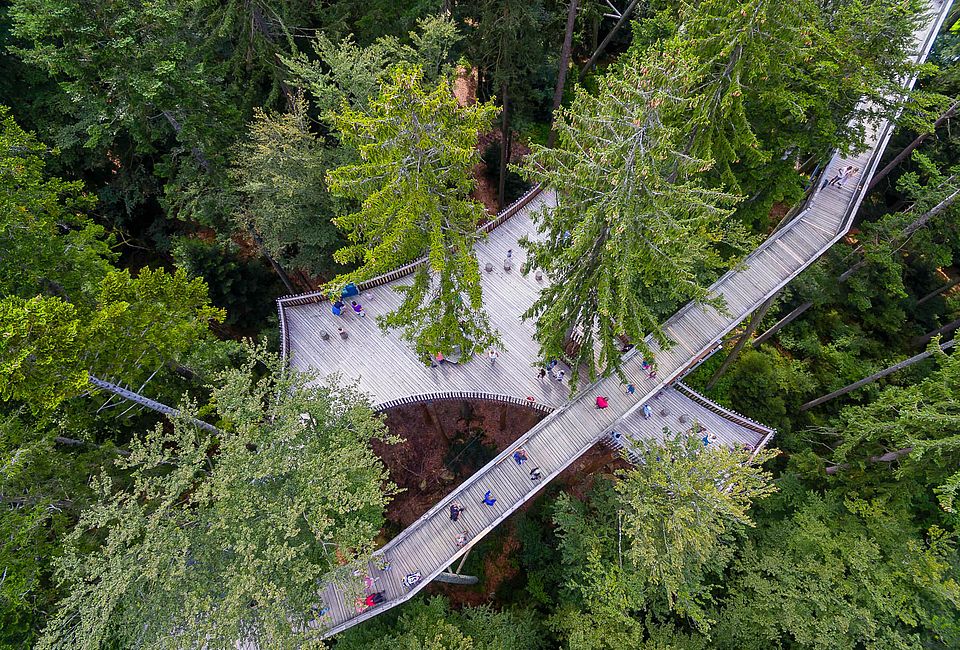 Baumwipfelpfad im Wald aus der Vogelperspektive mit Besuchern zwischen hohen Bäumen