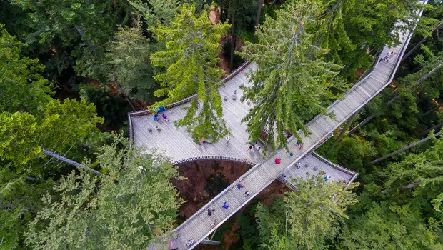 Baumwipfelpfad im Wald aus der Vogelperspektive mit Besuchern zwischen hohen Bäumen