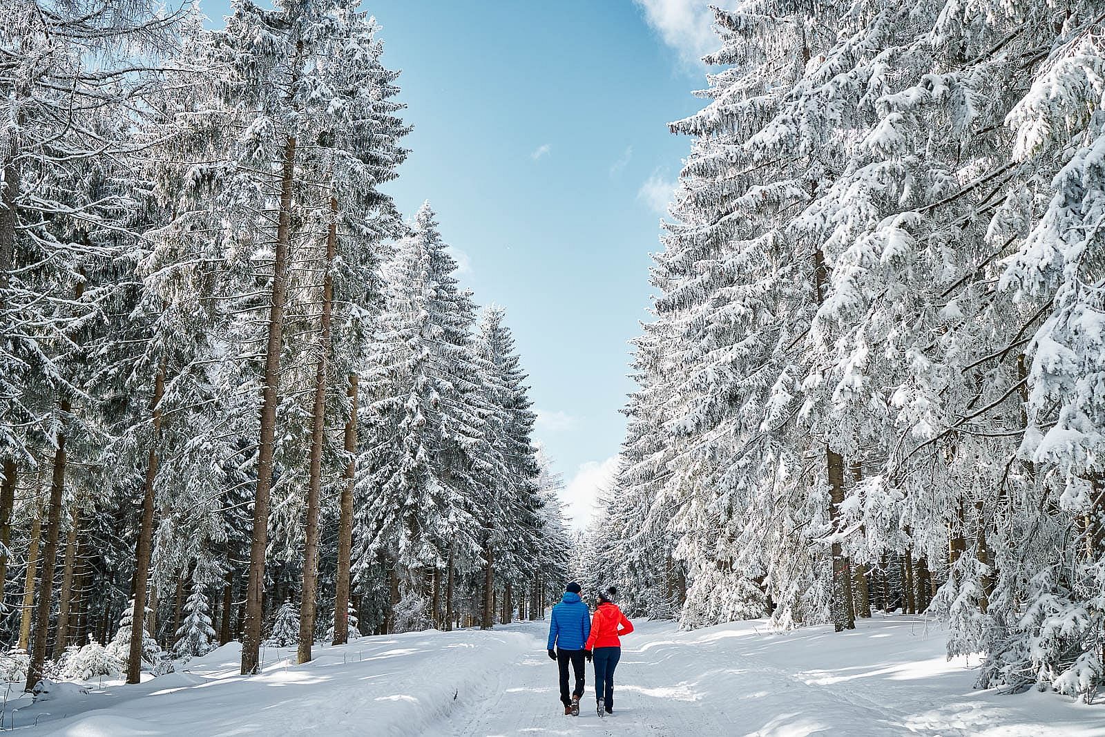 Enchanting winter landscape in Neuschönau