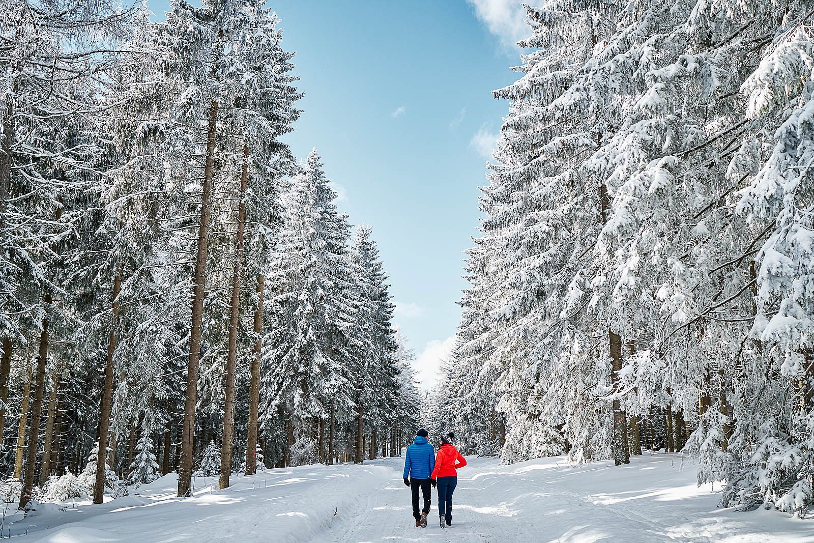 Zauberhafte Winterlandschaft in Neuschönau