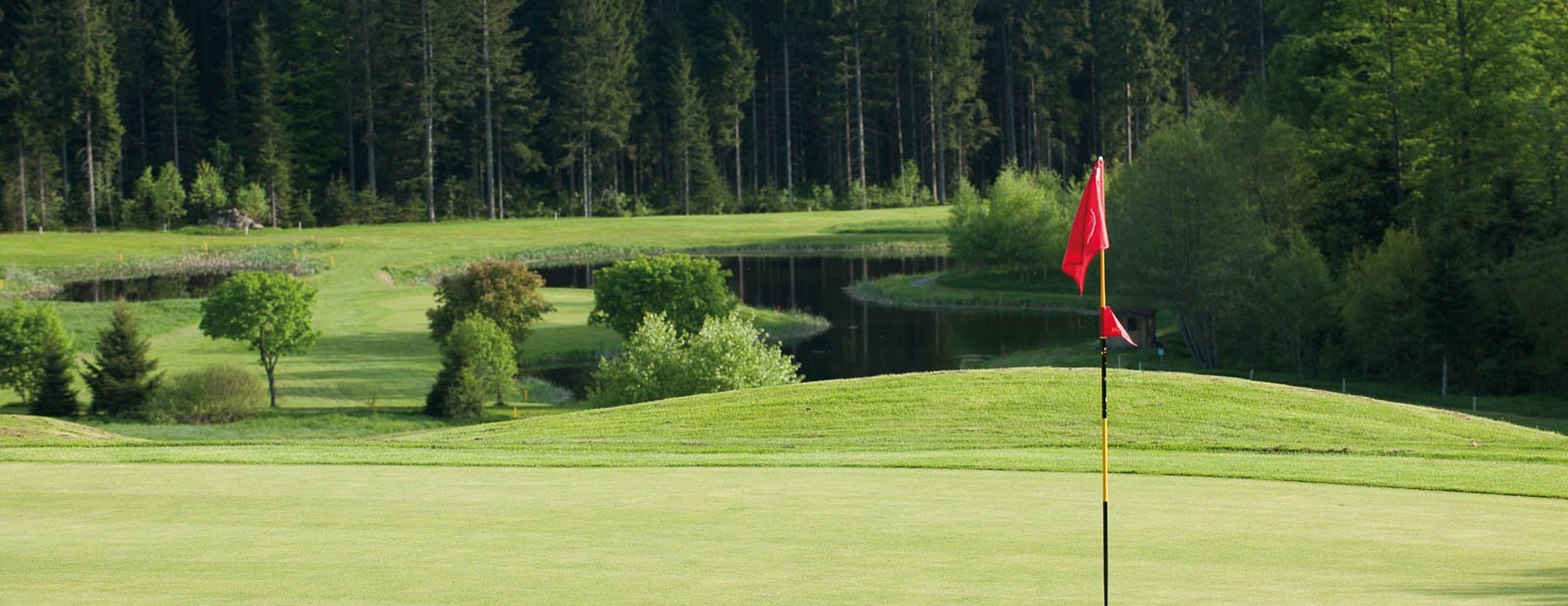 Golfgrün mit roter Fahne und Wasserhindernis auf einem Golfplatz im Bayerischen Wald