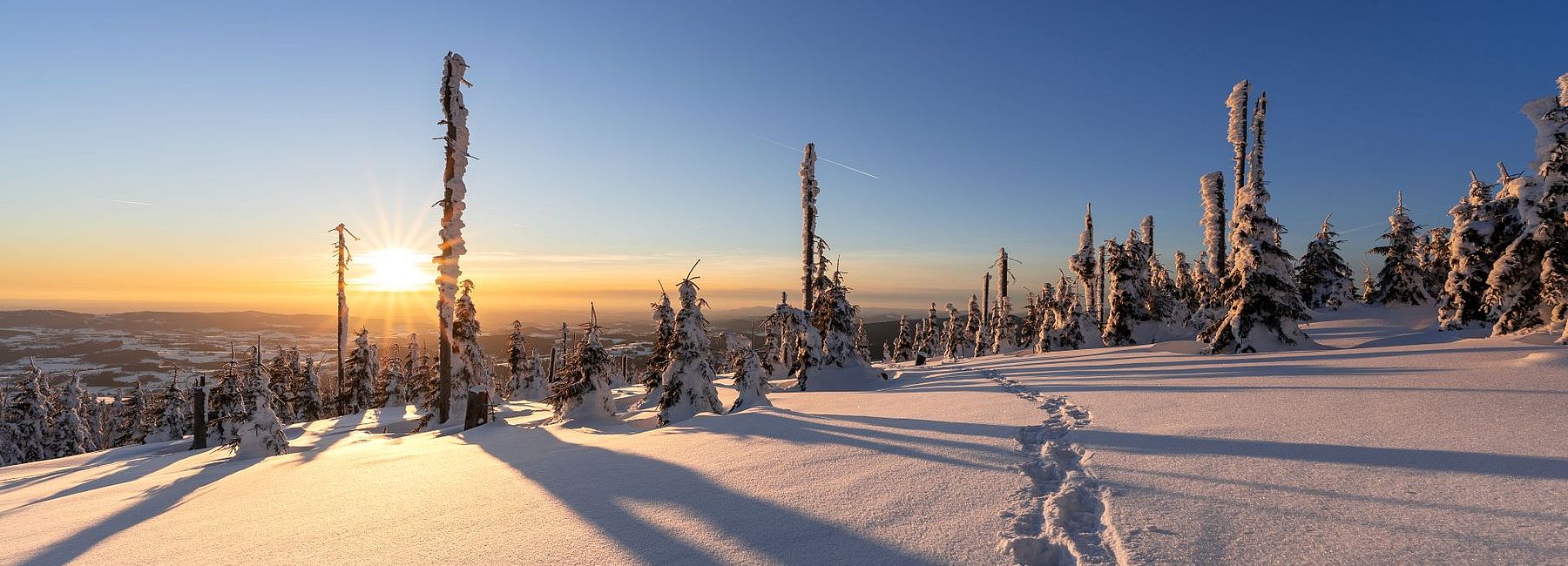 Verschneite Landschaft mit Spuren im Neuschnee im Bayerischen Wald bei Dämmerung