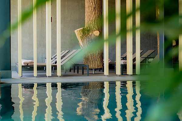 Wellnessbereich mit Pool, bequemen Liegestühlen und Trennelementen aus Holz