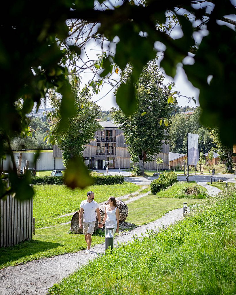 Sommer, Sonne, Neuschönau