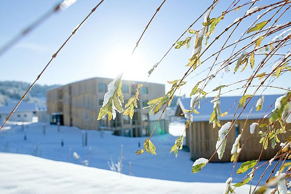 Das Naturhotel Euler und das Chalet Woidhaisl in Neuschönau im Winter