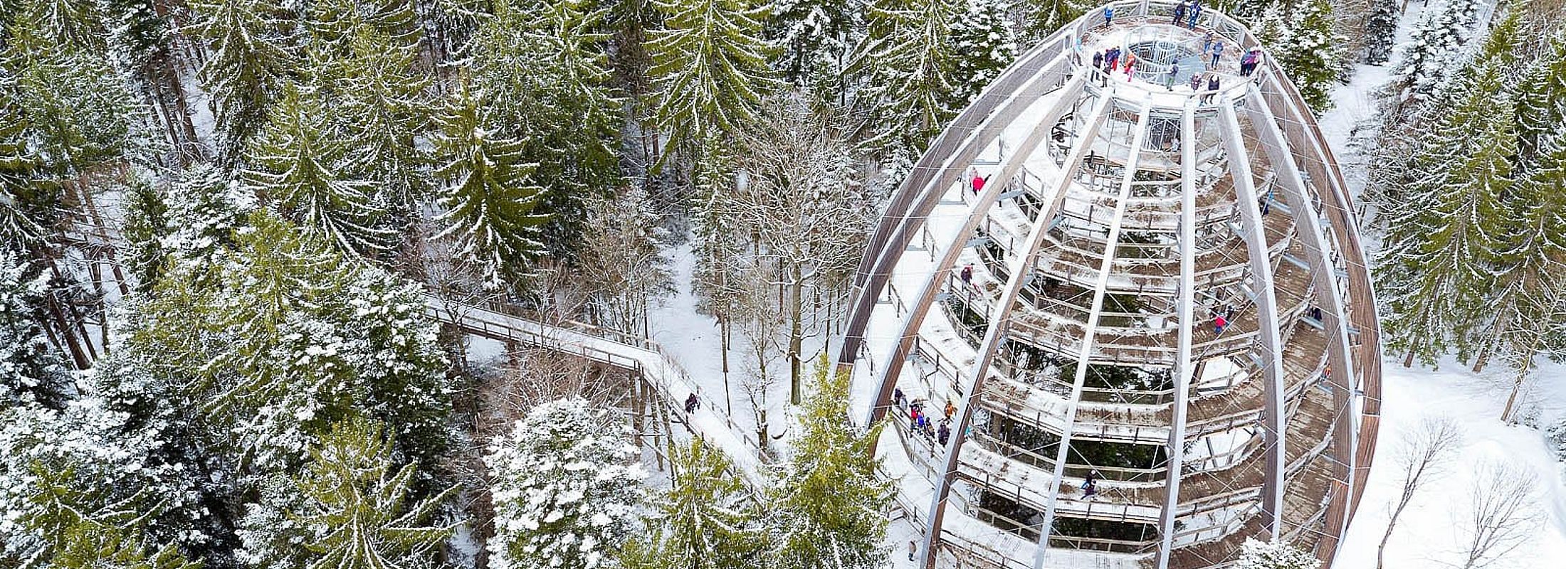 Treetop walk tower in a snow-covered forest from an aerial view
