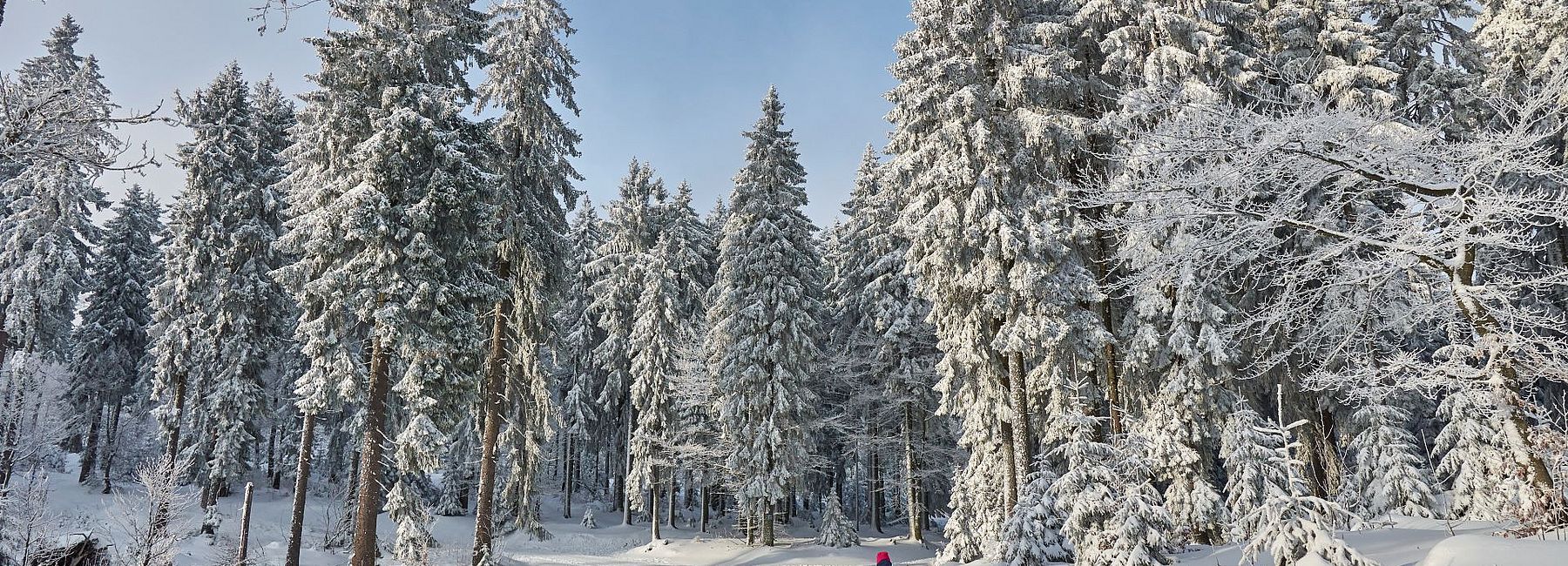 Kind beim Langlaufen auf einer Langlaufloipe im Bayerischen Wald bei Neuschnee 