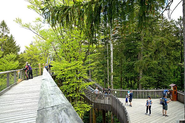 Menschen auf Holzstegen am Baumwipfelpfad im Bayerischen Wald im Sommer