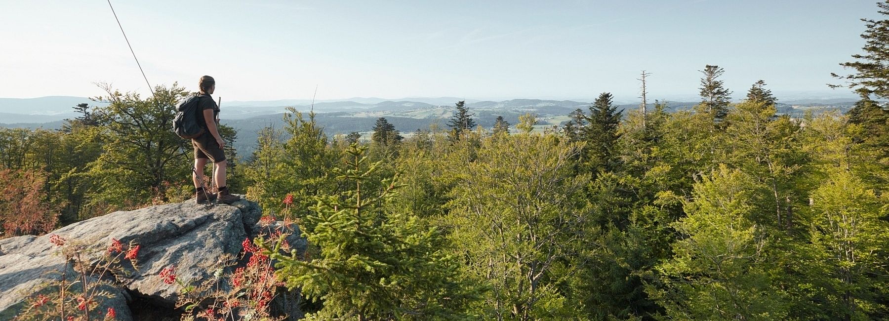 Frau beim Wandern auf einem Felsvorsprung im Bayerischen Wald im Sommer