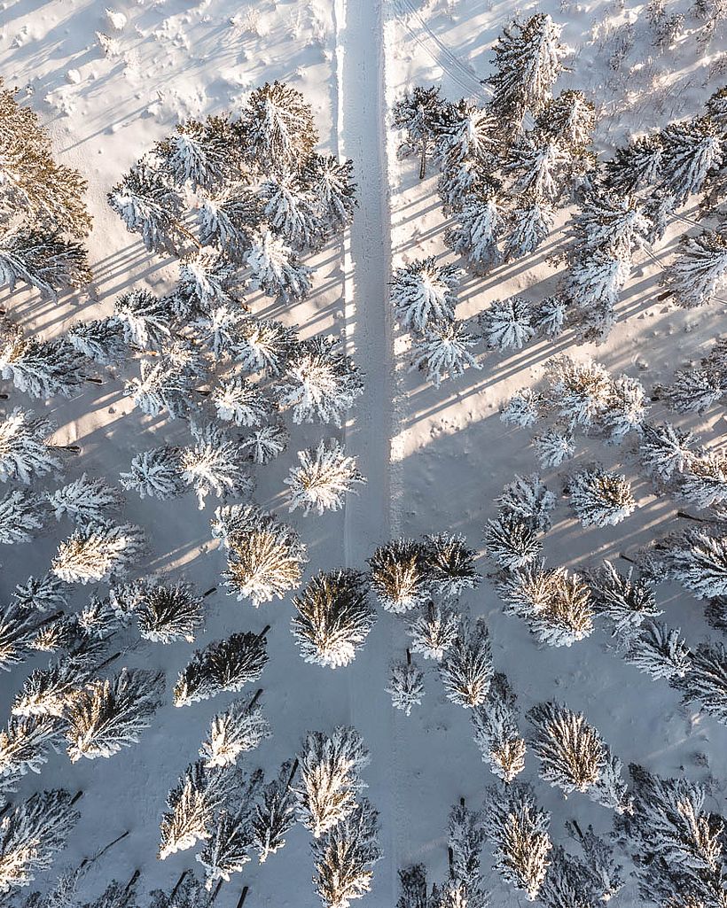 Der Natur auf der Spur