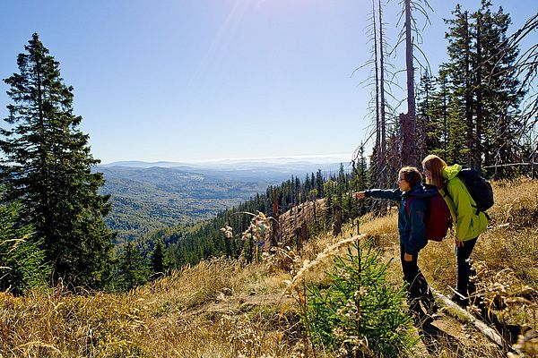 Wanderer mit Rucksack auf einer Anhöhe im Bayerischen Wald im Sommer bei Sonnenschein