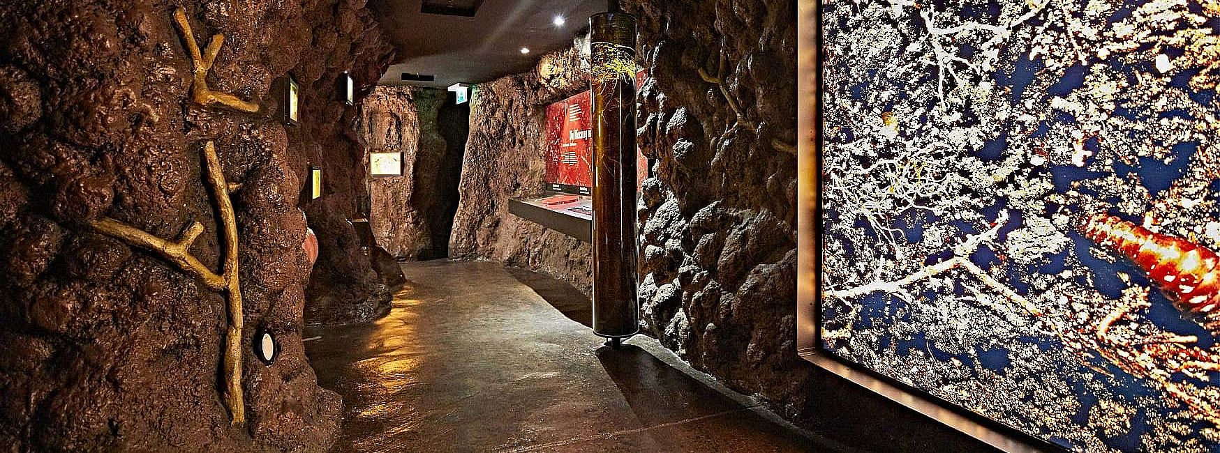 Haus der Wildnis im Bayerischen Wald