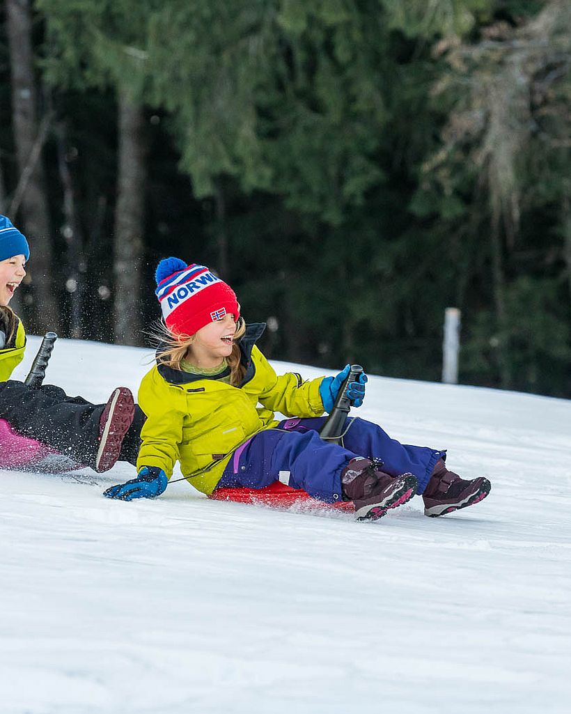 Rodeln in Neuschönau