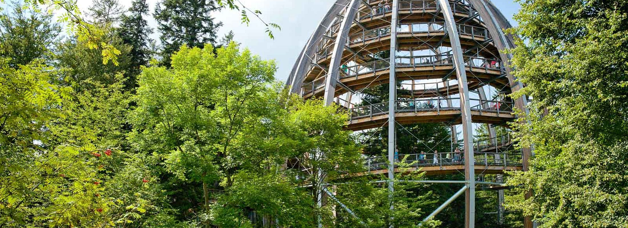 Aussichtsturm des Baumwipfelpfads im Nationalpark Bayerischer Wald