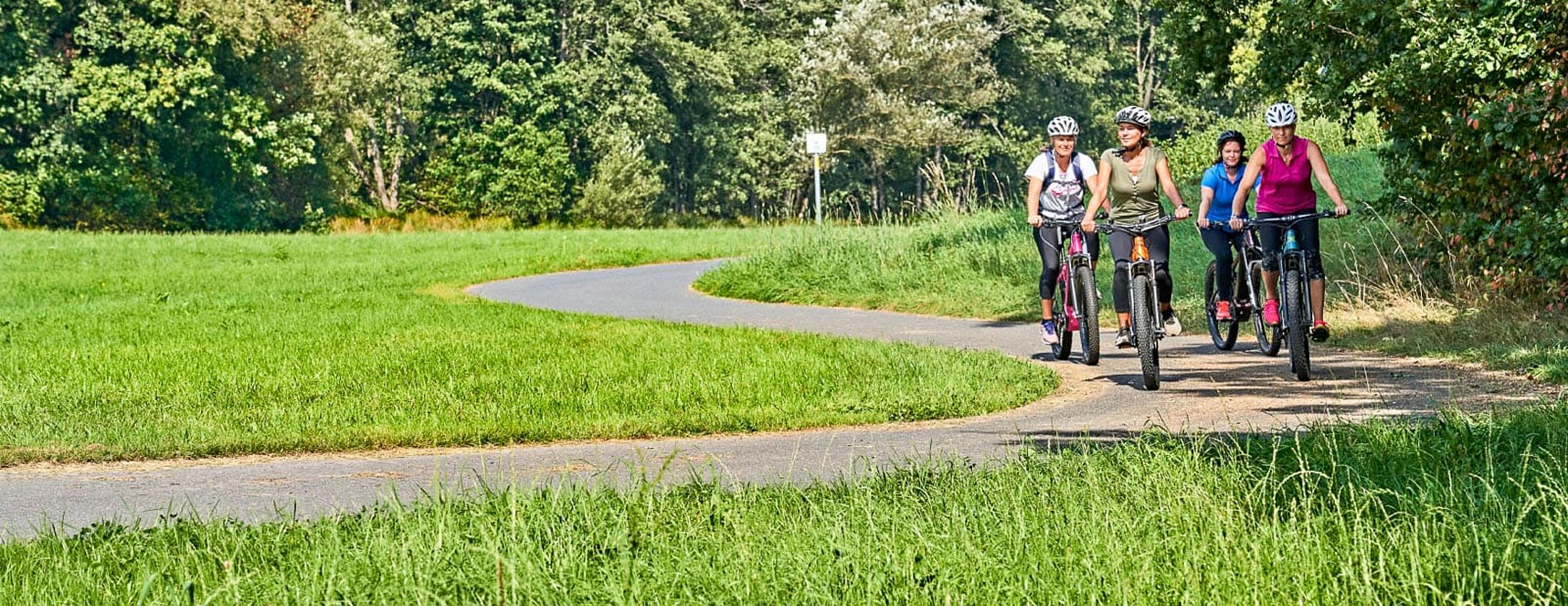 Vier Radfahrerinnen auf einem Radweg durch grüne Wiesenlandschaft
