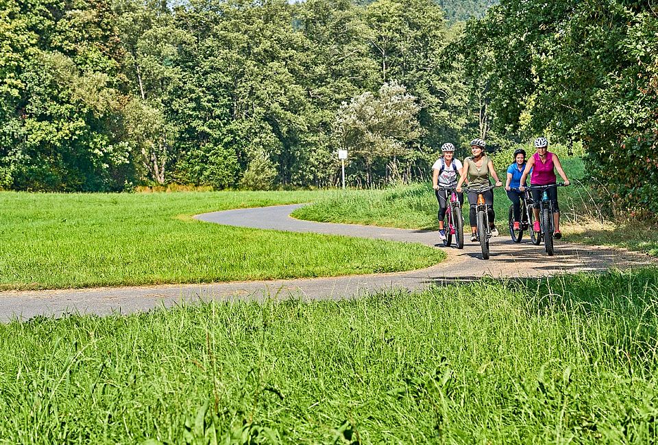 Vier Radfahrerinnen auf einem Radweg durch grüne Wiesenlandschaft