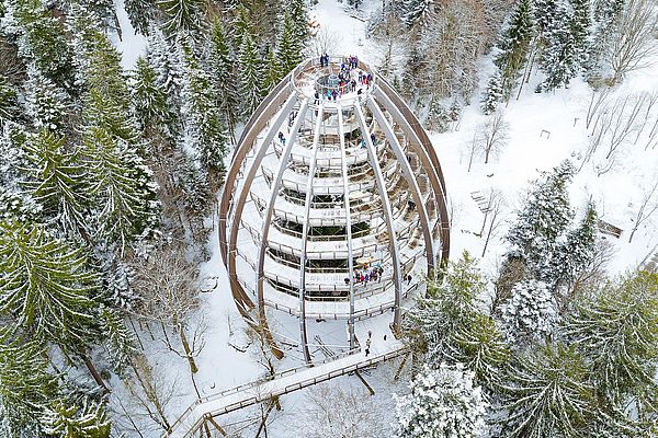 Verschneiter Baumwipfelpfad und Baumei mit Aussichtsplattform im Bayerischen Wald