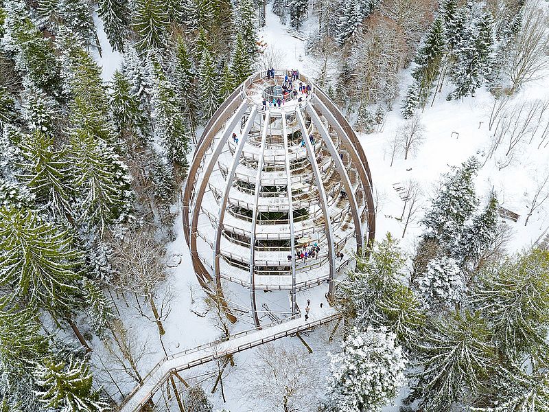 Verschneiter Baumwipfelpfad und Baumei mit Aussichtsplattform im Bayerischen Wald
