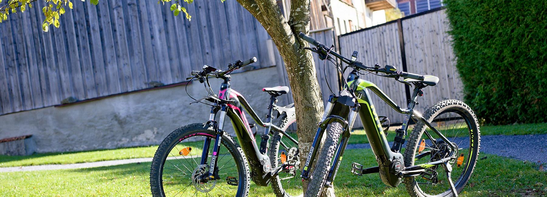 Zwei E-Bikes auf dem Rasen bei einem kleinen Baum in der Sonne mit Herbstlaub
