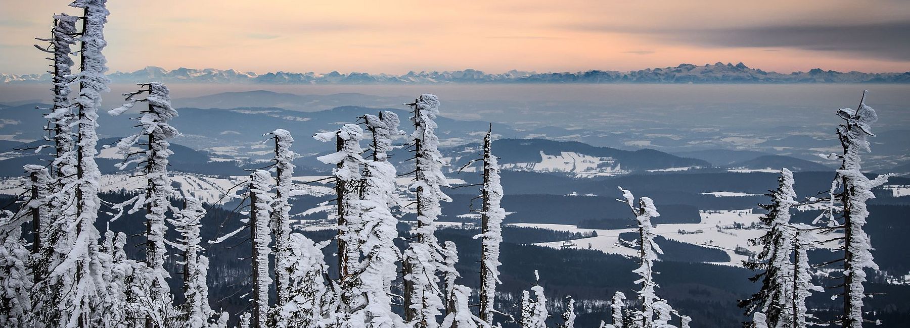 Aussicht von einem Berg auf den verschneiten Bayerischen Wald im Winter bei Dämmerung