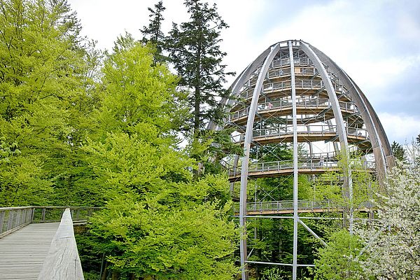 Holzweg auf Baumstämmen im Wald und ein großer Turm mit Aussichtsplattformen
