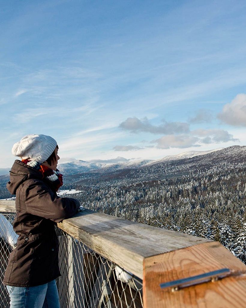 Der Natur auf der Spur